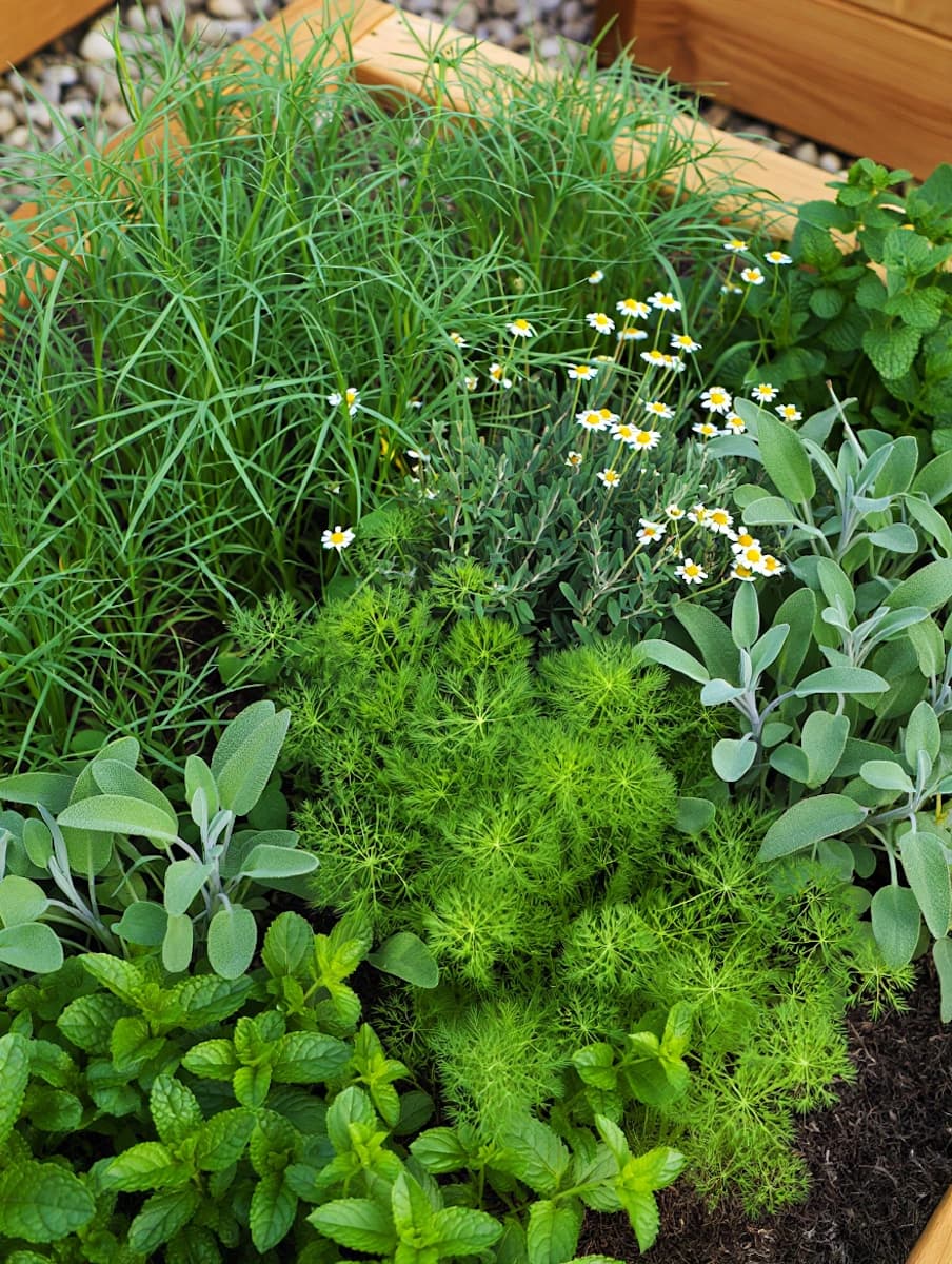 Quality landscaping in Hutto, TX